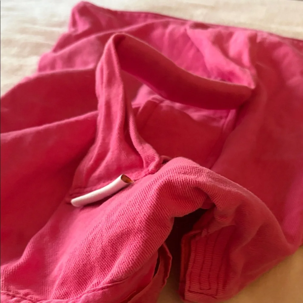 cozy comfort carrier for cats